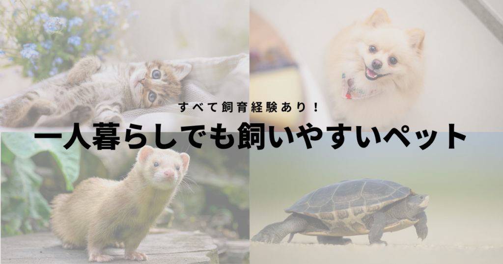 一人暮らしでも飼いやすいペット