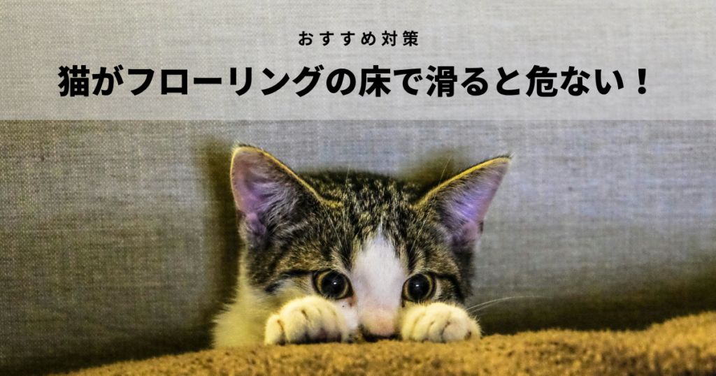 猫がフローリングの床で滑ると危ない