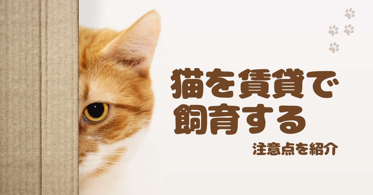 猫 賃貸 注意点